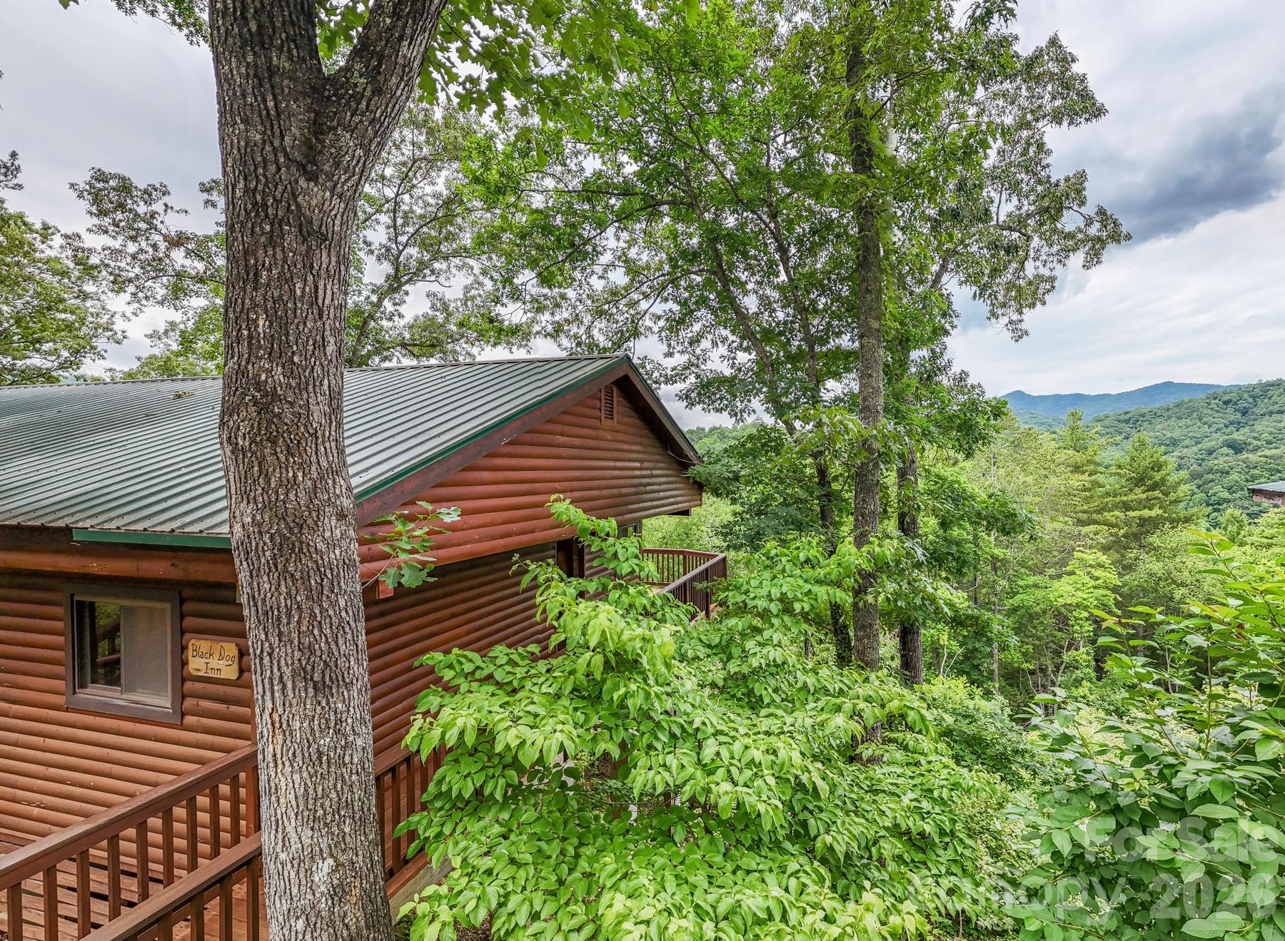 307 Blue Ridge Parkway Bryson City, NC 28713 - Photo 15 of 48 a backyard of a house with lots of green space