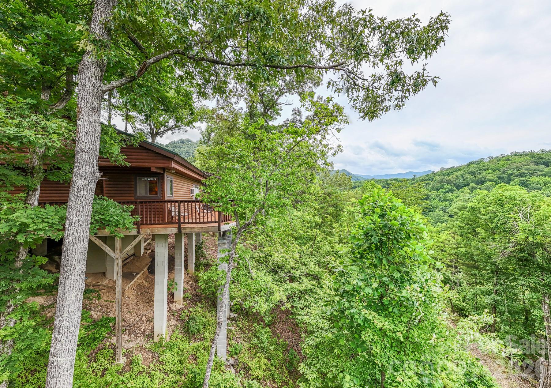 307 Blue Ridge Parkway Bryson City, NC 28713 - Photo 2 of 48 a backyard of a house with lots of green space