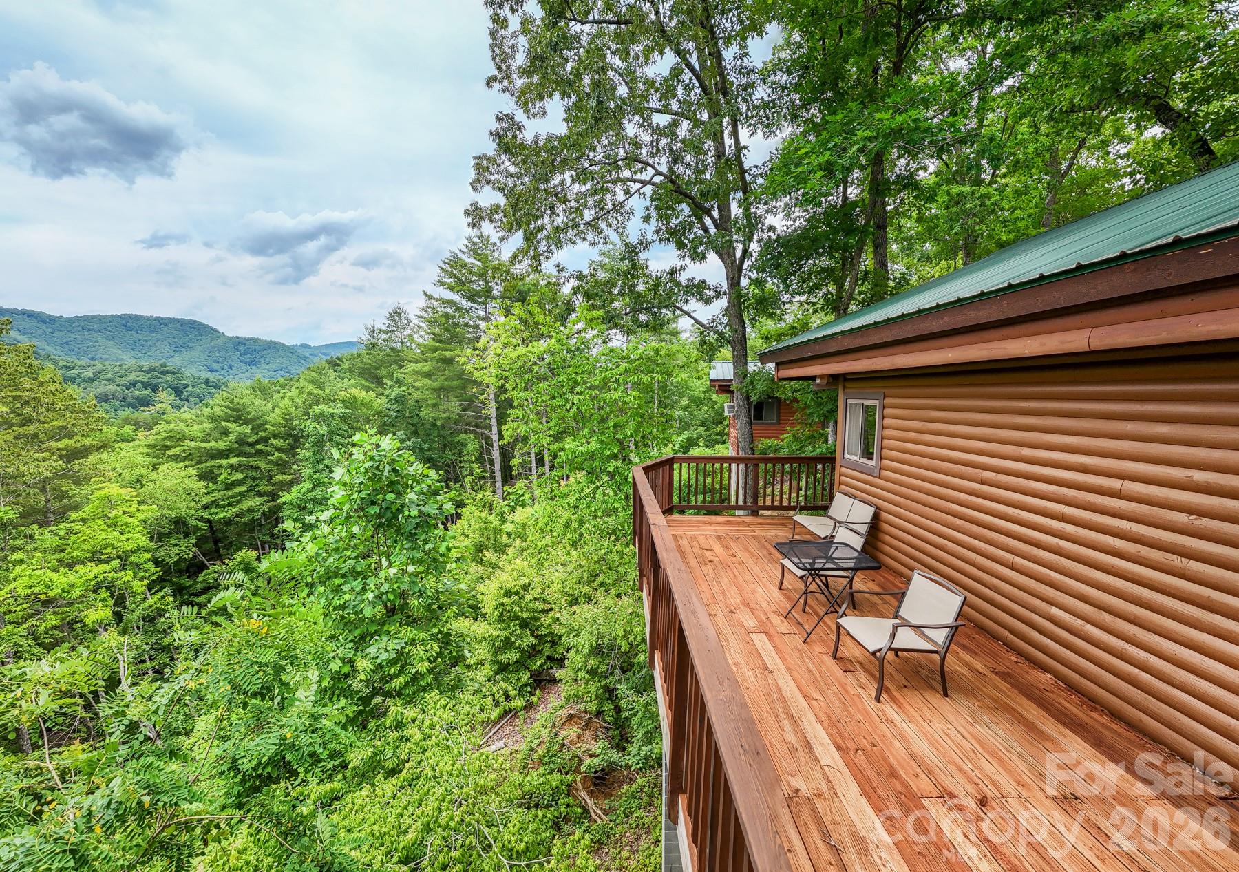 307 Blue Ridge Parkway Bryson City, NC 28713 - Photo 23 of 48