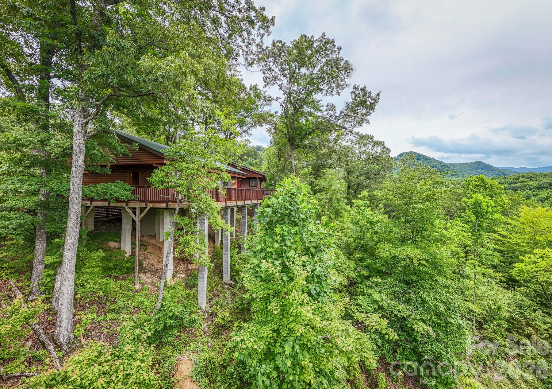 307 Blue Ridge Parkway Bryson City, NC 28713 - Photo 8 of 48 a backyard of a house with lots of green space