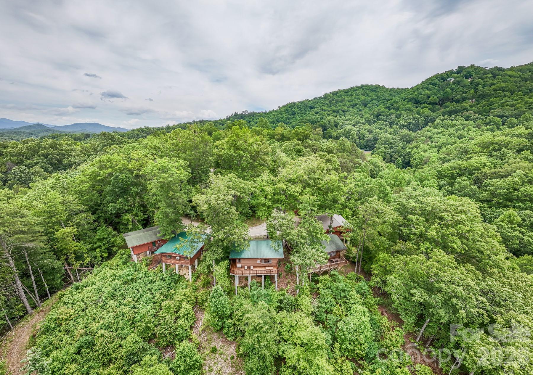 307 Blue Ridge Parkway Bryson City, NC 28713 - Photo 9 of 48 a backyard of a house with a yard and outdoor seating