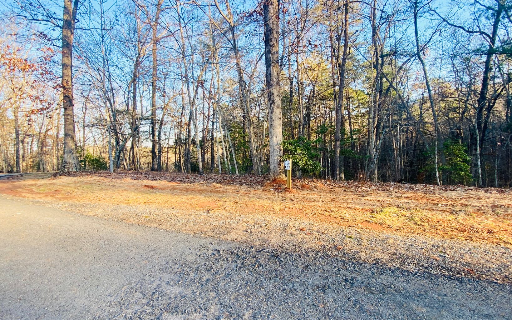 Lot18 Arbor Way Blue Ridge, GA 30513 - Photo 1 of 12 a view of large space with trees