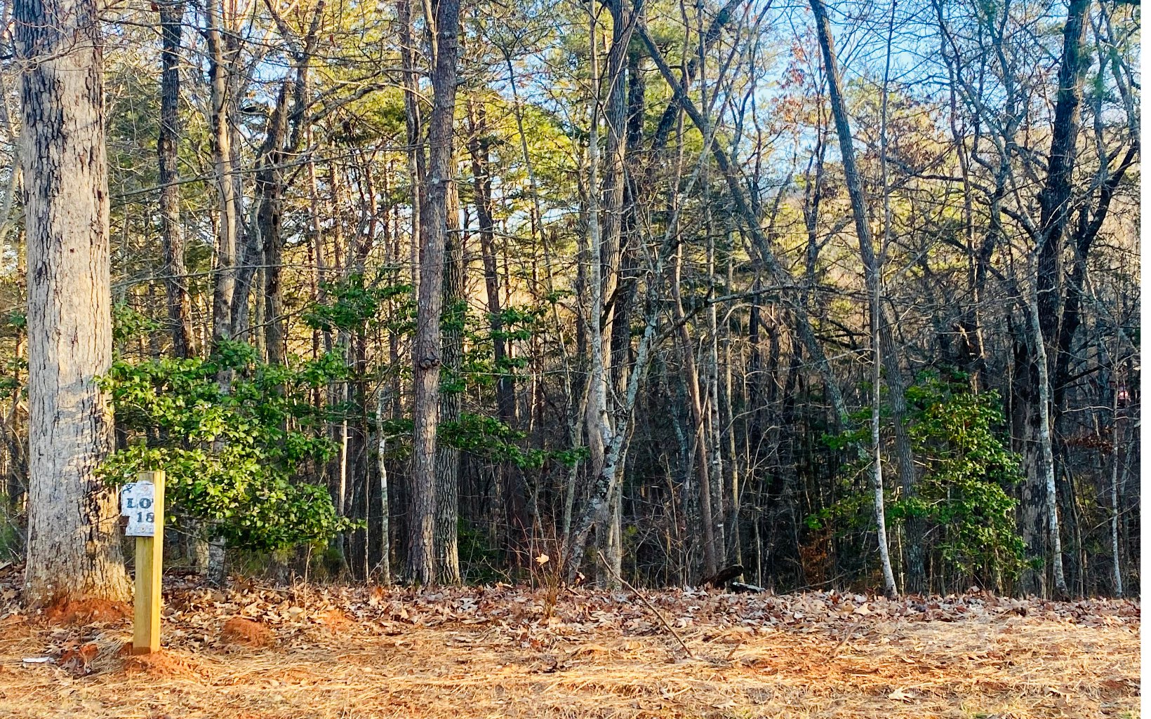 Lot18 Arbor Way Blue Ridge, GA 30513 - Photo 12 of 12 a view of outdoor space with trees