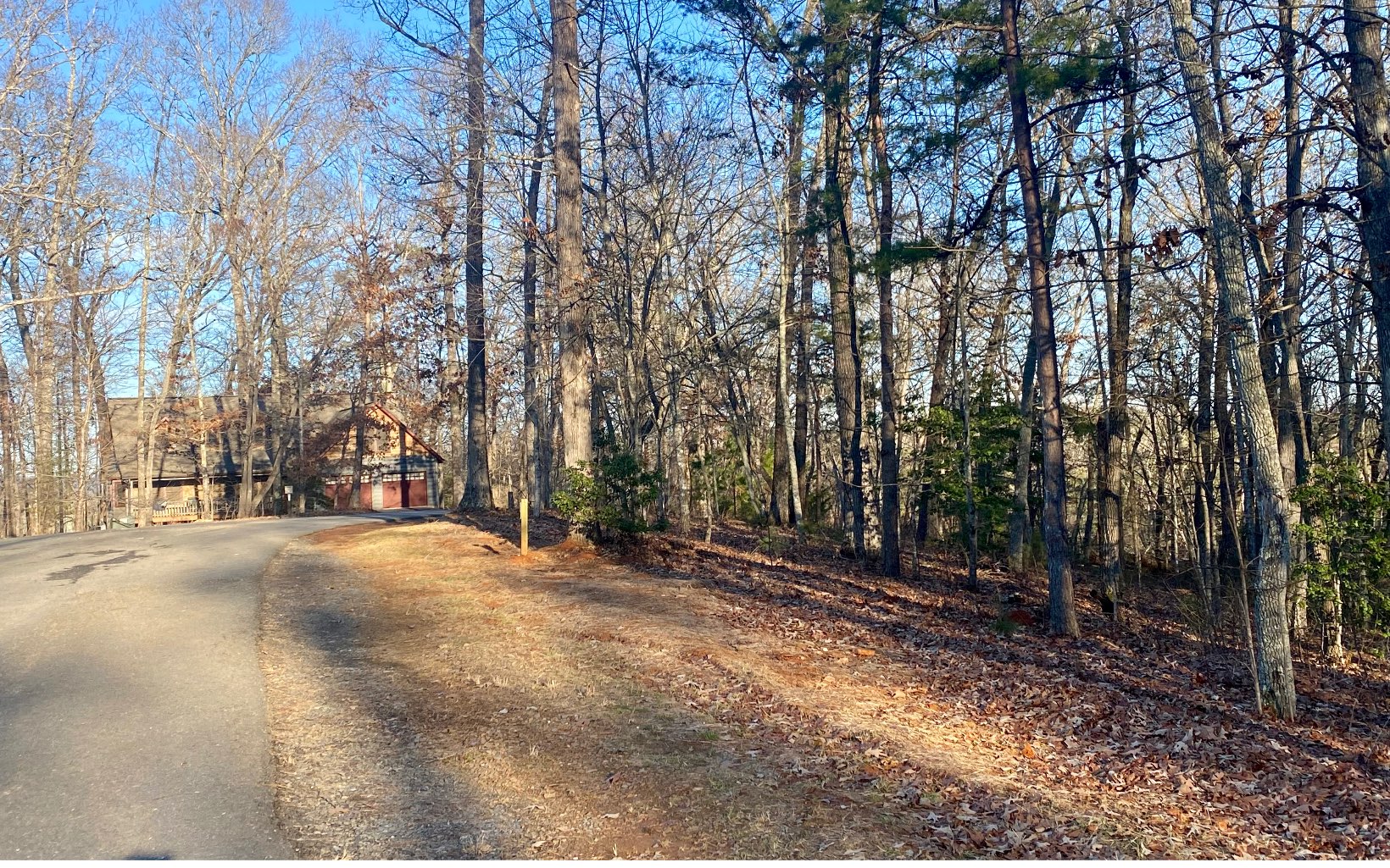 Lot18 Arbor Way Blue Ridge, GA 30513 - Photo 6 of 12 a view of outdoor space and yard