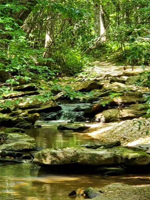 1135 Fox Hills Road Pinnacle, NC 27043 - Photo 2 of 30