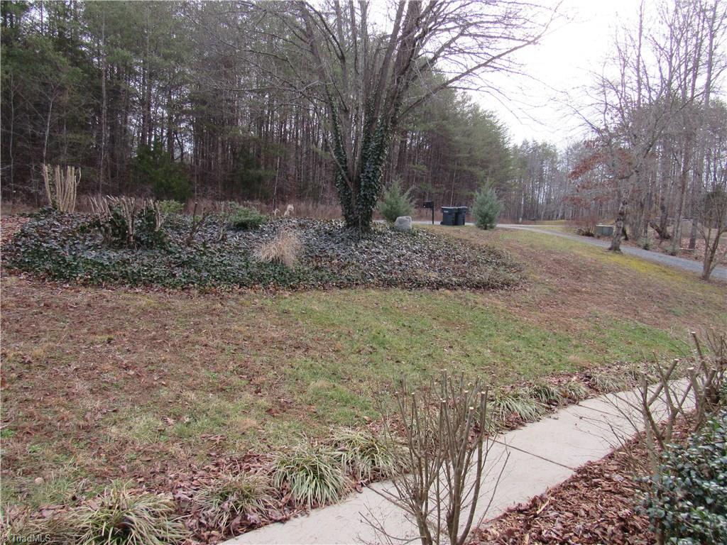 1135 Fox Hills Road Pinnacle, NC 27043 - Photo 11 of 30