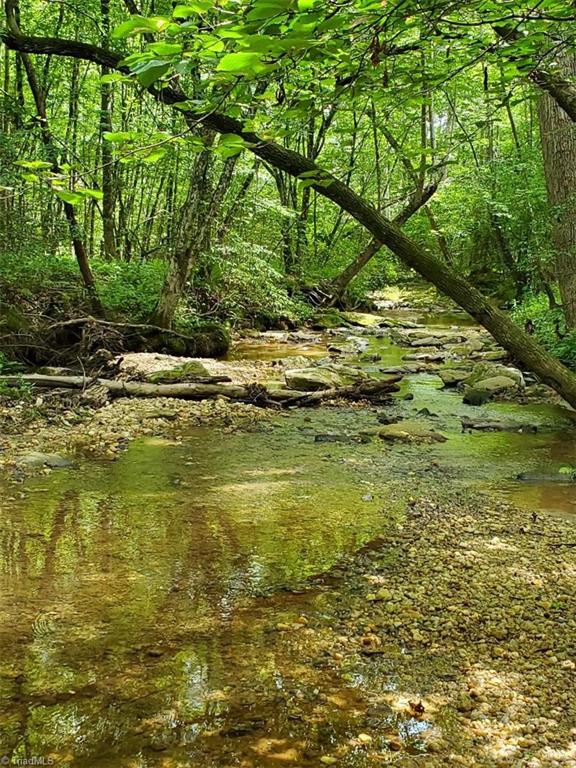 1135 Fox Hills Road Pinnacle, NC 27043 - Photo 5 of 30
