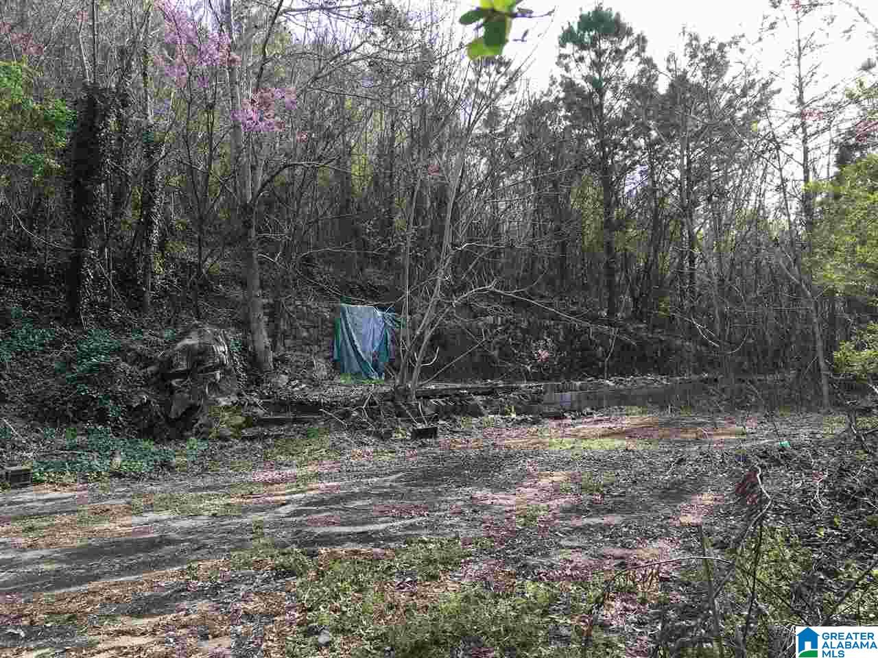 230 County Line Road Oxford, AL 36203 - Photo 10 of 50