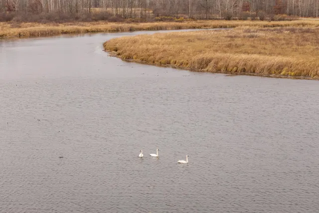 $349,000 | 20133 Roundview Road, Pierz, MN 56364