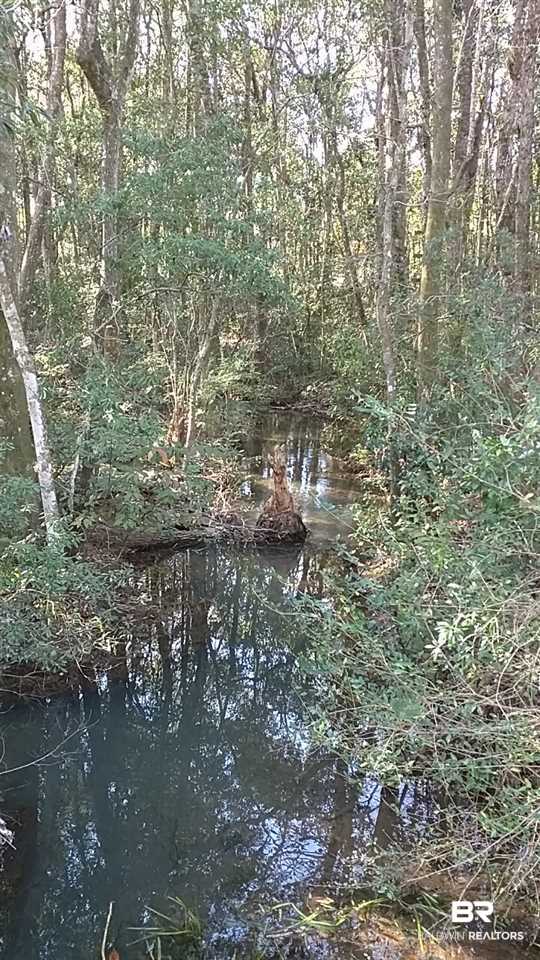 0 Battles Road Fairhope, AL 36532 - Photo 2 of 2