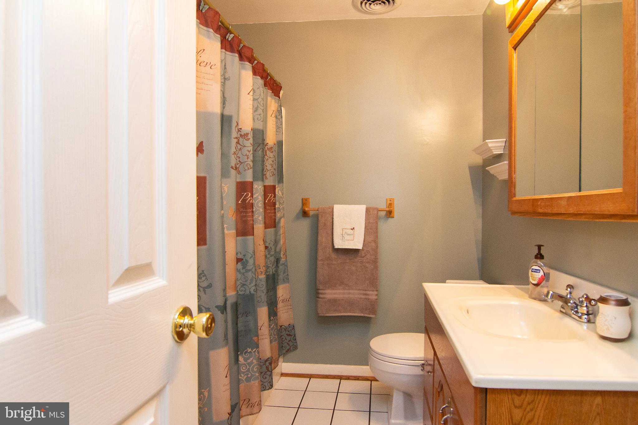 563 Oak Tree Road Westminster, MD 21157 - Photo 19 of 41 a bathroom with a sink toilet and shower