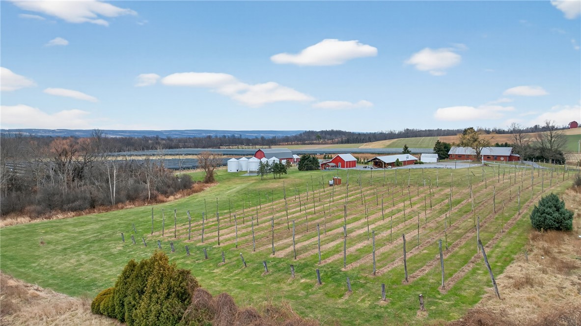 511 Hansen Point Road Torrey, NY 14527 - Photo 13 of 15