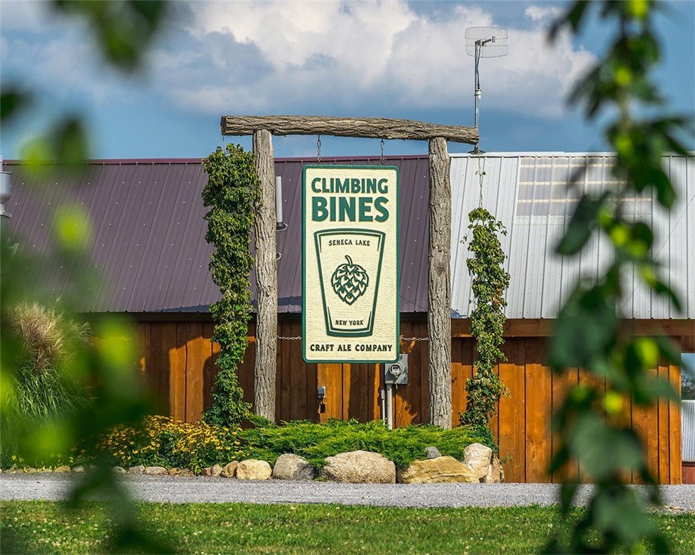 511 Hansen Point Road Torrey, NY 14527 - Photo 7 of 15