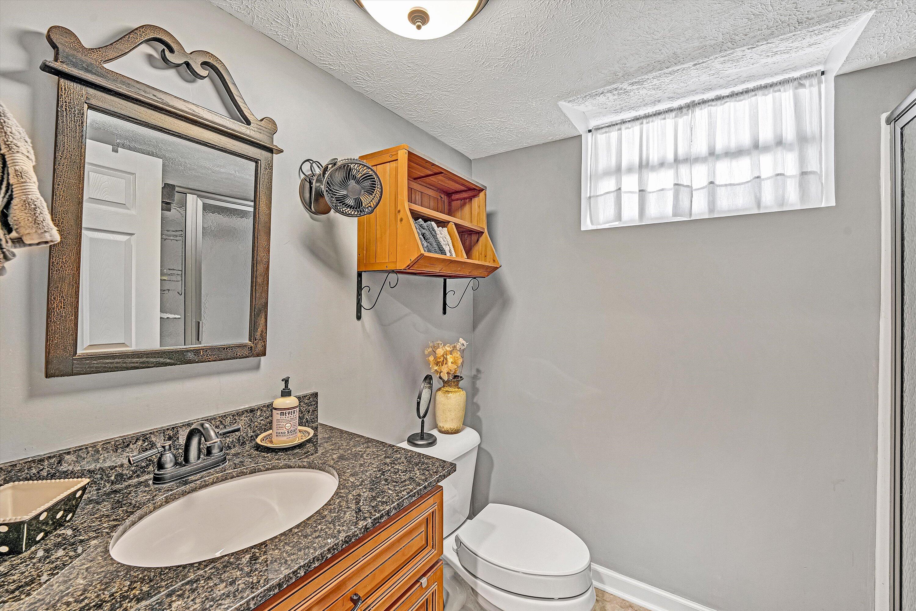 1620 Ayers Road Moneta, VA 24121 - Photo 38 of 63 a bathroom with a granite countertop toilet sink and mirror