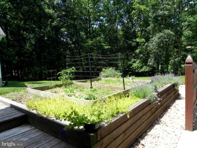 193 Red Fox Road Harpers Ferry, WV 25425 - Photo 11 of 30 Garden Area in Back Yard