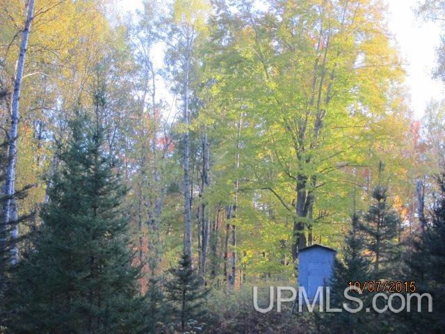 Tbd WPA Road Crystal Falls, MI 49920 - Photo 31 of 33