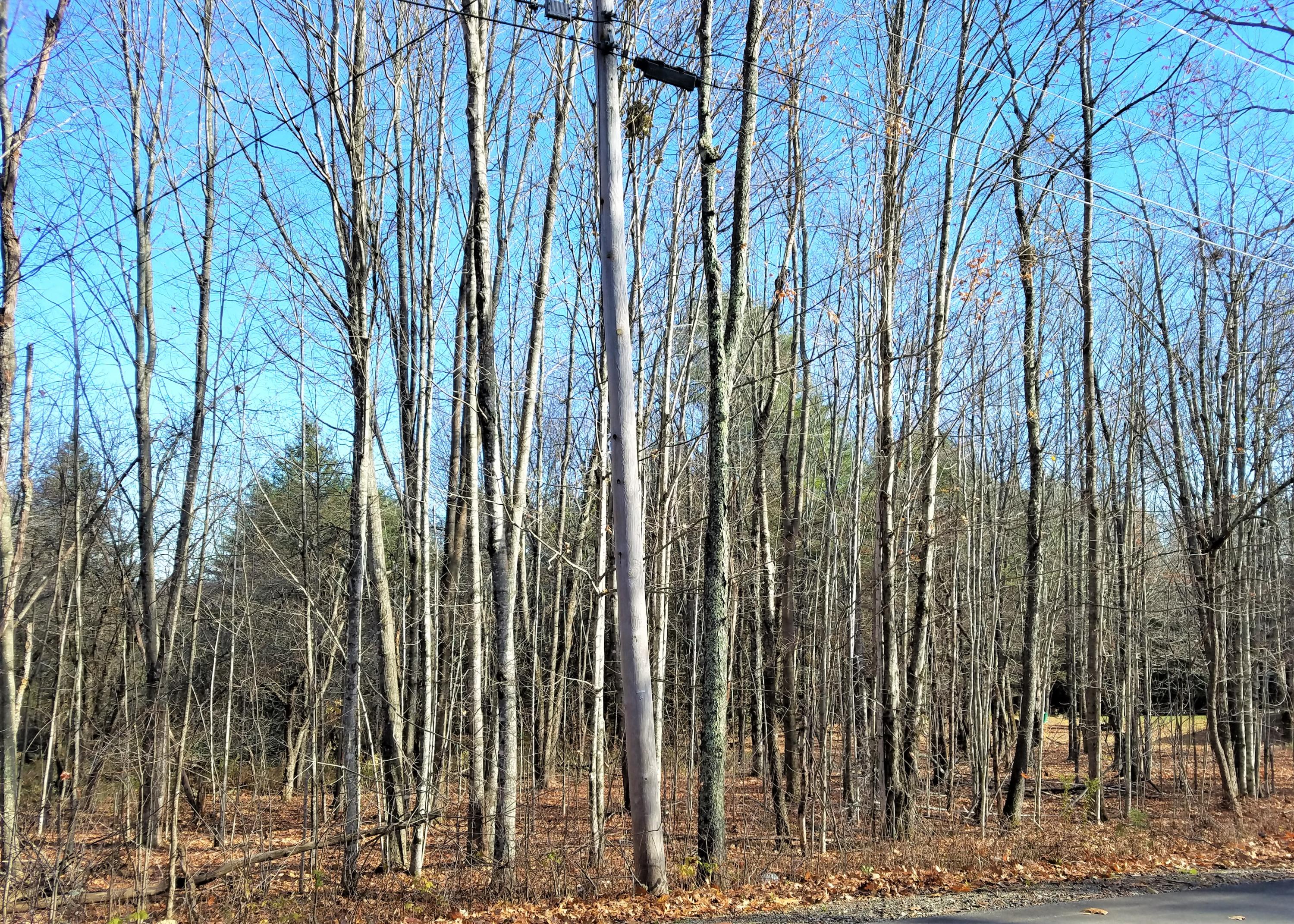 M7-l7-5-3a Garcelon Road Burnham, ME 04922 - Photo 2 of 4 Map 7 Lot 7-5-3A Garcelon Road