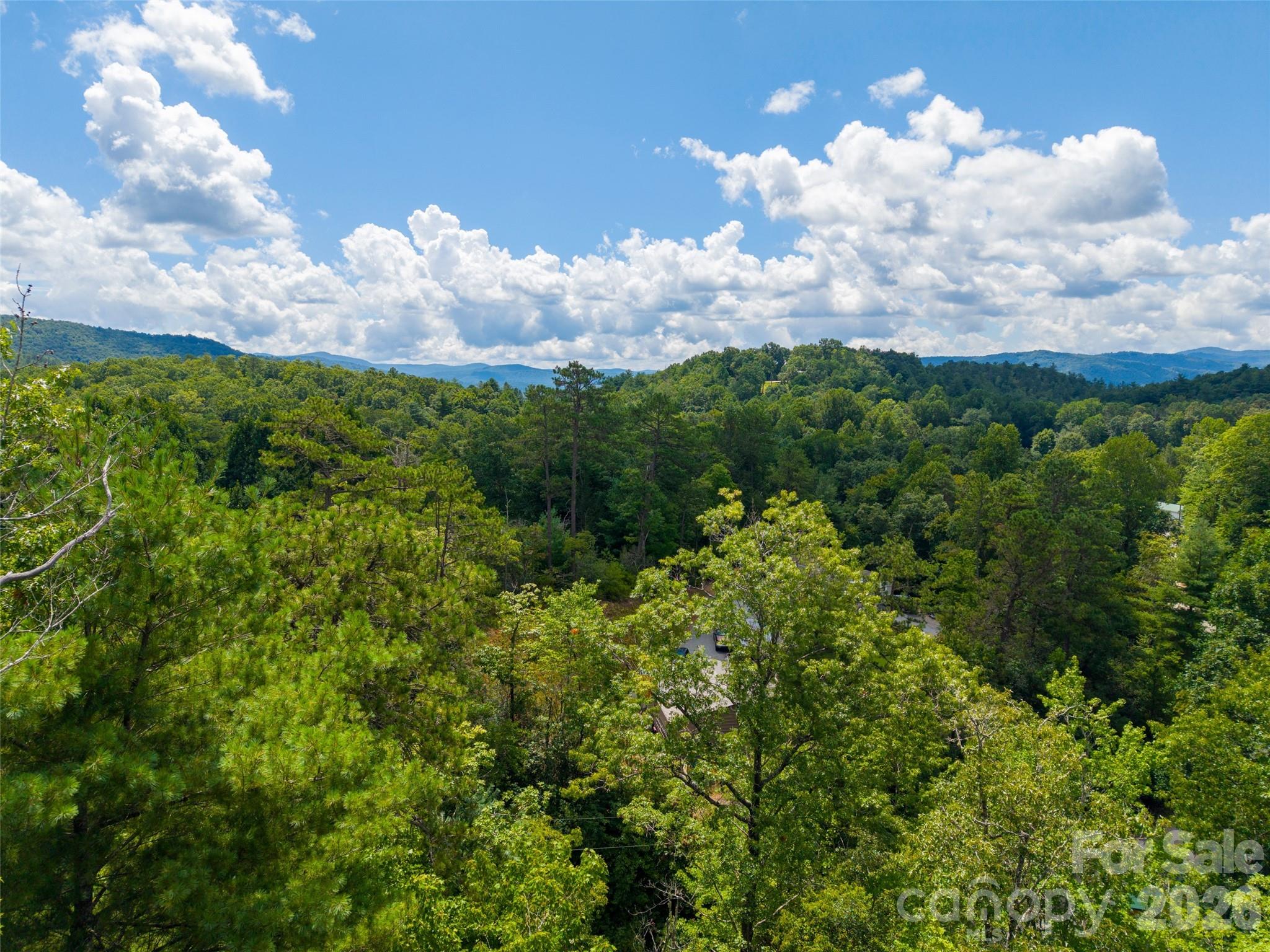 0 Miracle Valley Road Pisgah Forest, NC 28768 - Photo 6 of 18 Gallery Image 6
