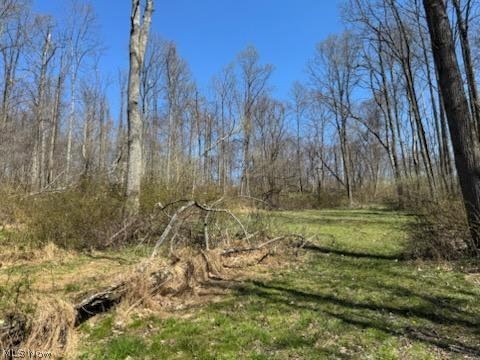 True Road Southeast Dennison, OH 44621 - Photo 2 of 9