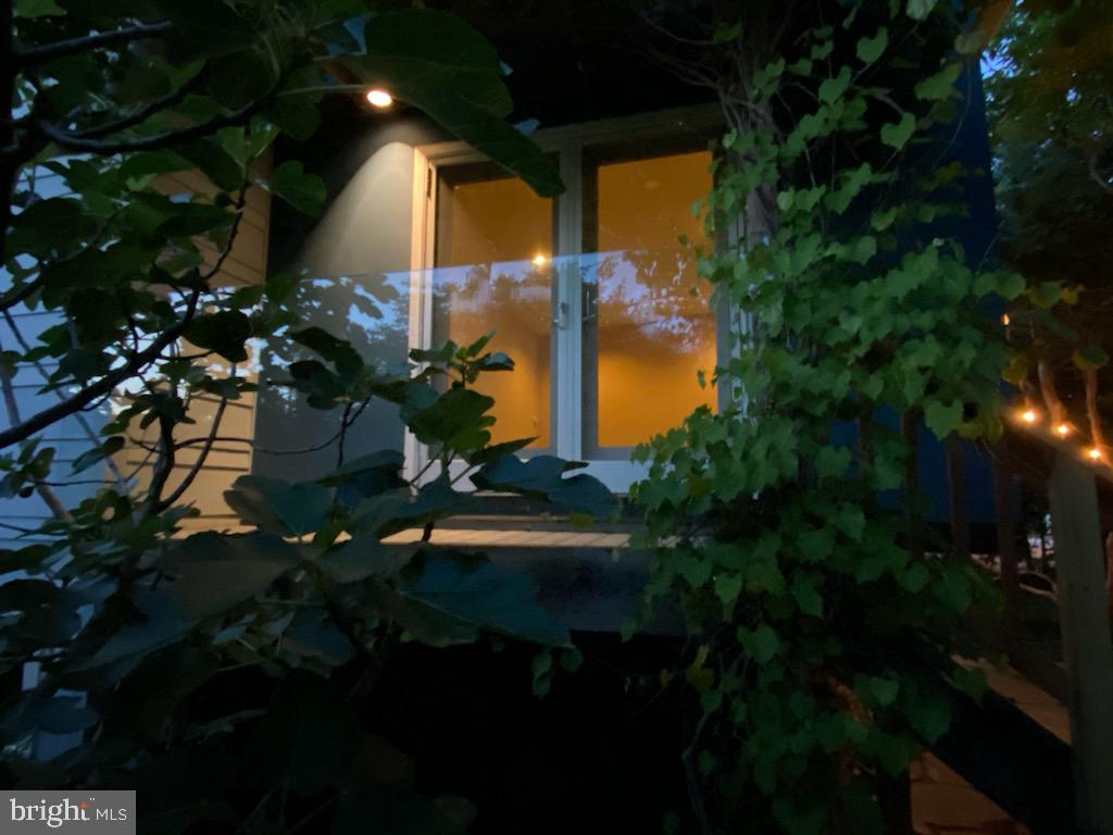 25 East Braddock Road Alexandria, VA 22301 - Photo 31 of 81 Exterior lighting illuminates the yard