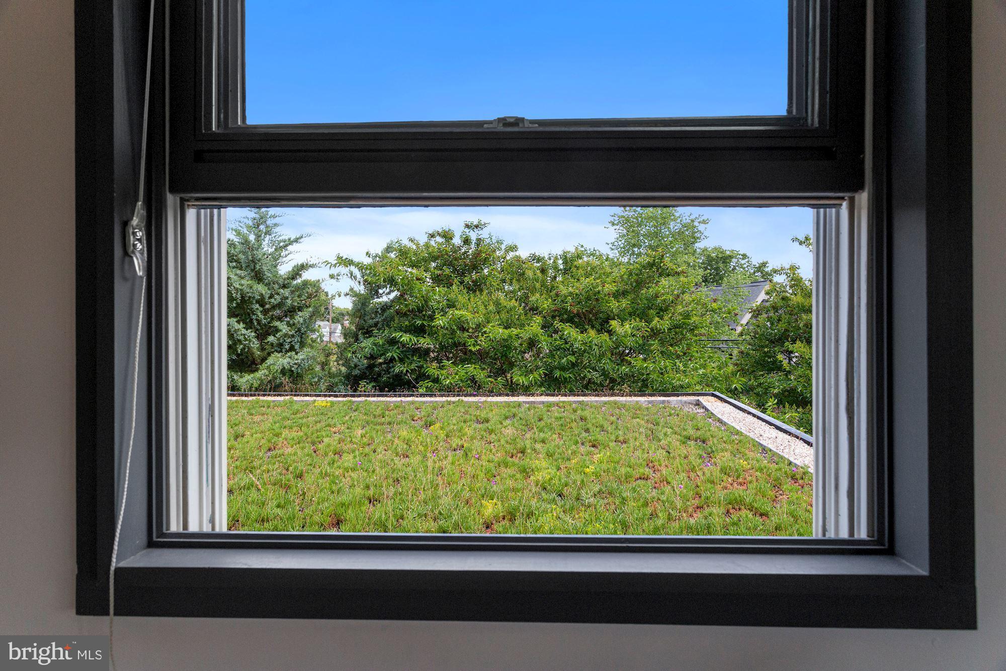 25 East Braddock Road Alexandria, VA 22301 - Photo 44 of 81 First "green roof" in Alexandria!