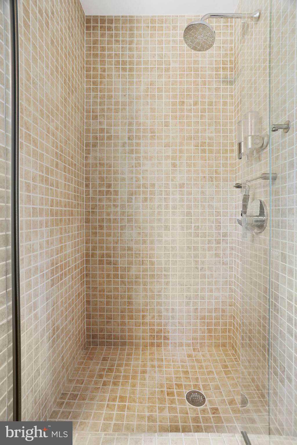 25 East Braddock Road Alexandria, VA 22301 - Photo 60 of 81 Updated shower in hall bath