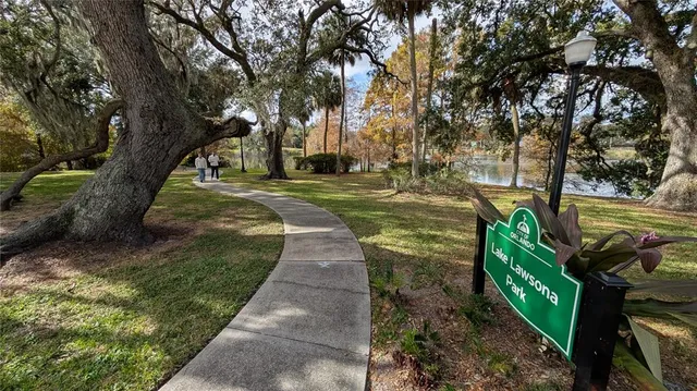 a view of a park with large trees