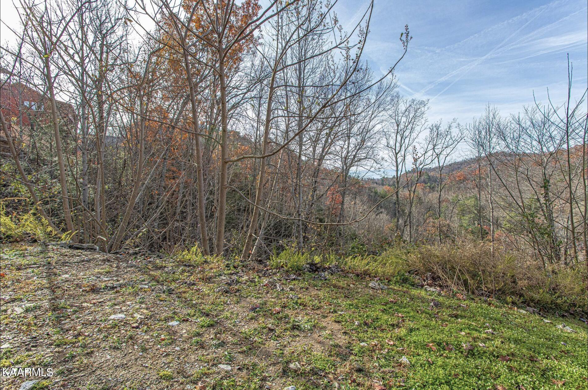 Lot 42 Smoky Ridge Way Sevierville, TN 37862 - Photo 1 of 11 Screen Shot 2022-09-29 at 6.05.16 PM