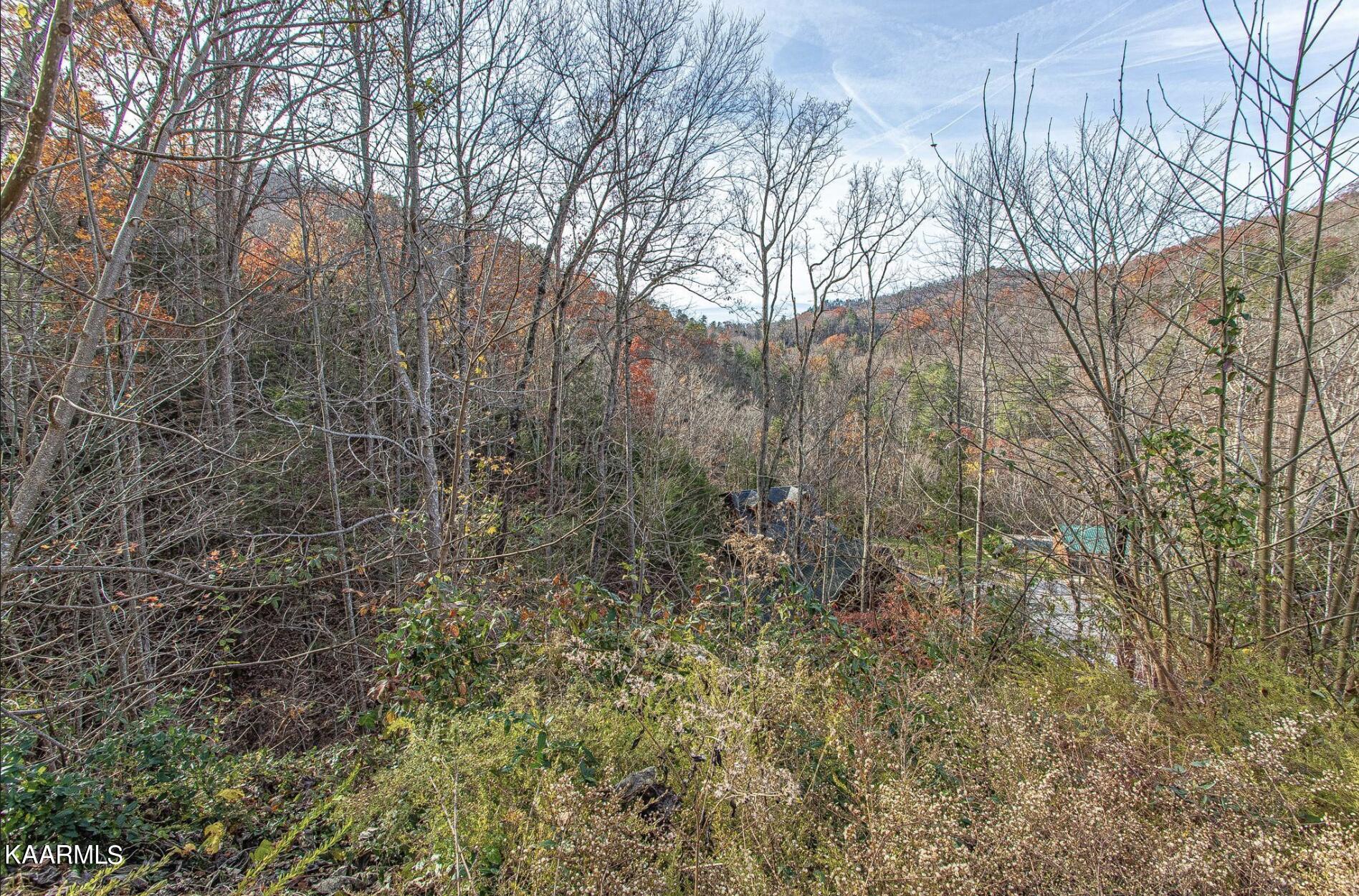 Lot 42 Smoky Ridge Way Sevierville, TN 37862 - Photo 8 of 11 Screen Shot 2022-09-29 at 6.05.26 PM