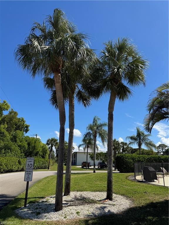 a view of a yard with palm trees