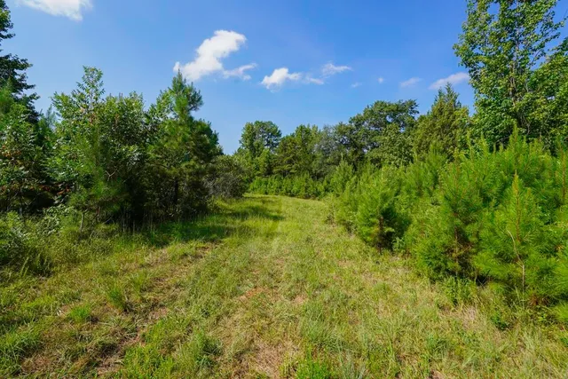 $1,150,000 | 1560 Meansville Road, Jonesville, SC 29353