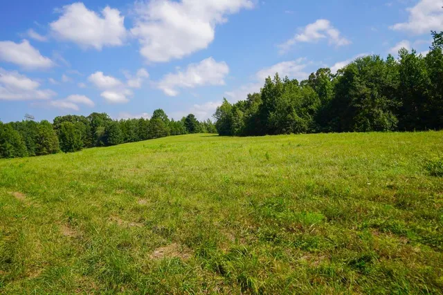 $1,150,000 | 1560 Meansville Road, Jonesville, SC 29353