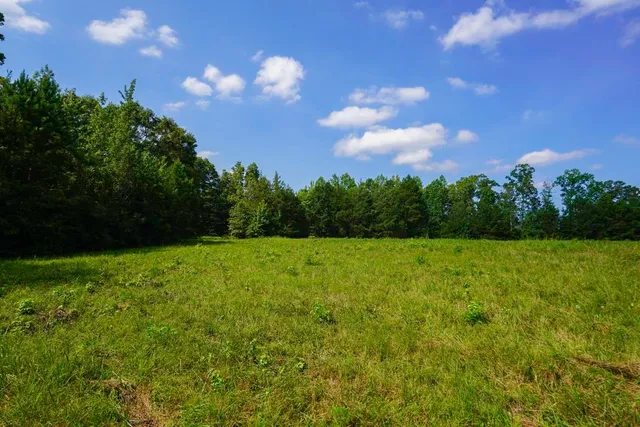 $1,150,000 | 1560 Meansville Road, Jonesville, SC 29353