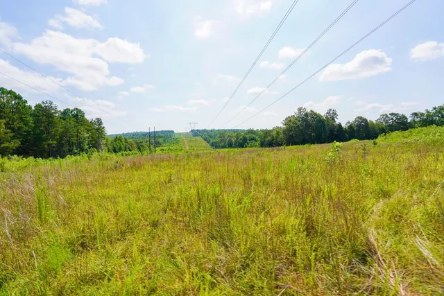 $1,150,000 | 1560 Meansville Road, Jonesville, SC 29353