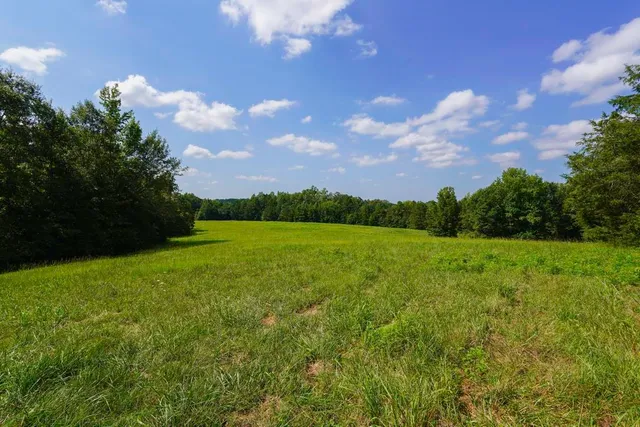 $1,150,000 | 1560 Meansville Road, Jonesville, SC 29353