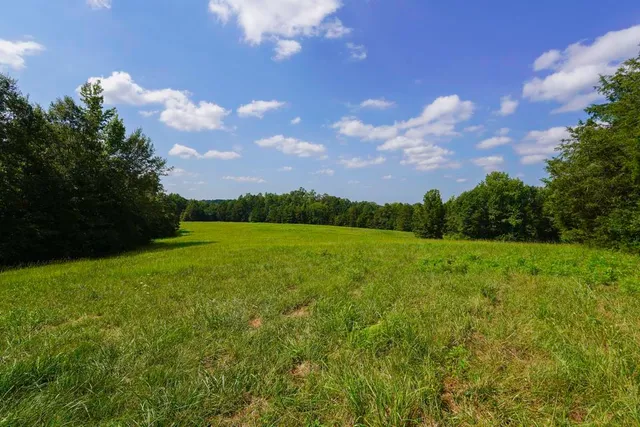 $1,150,000 | 1560 Meansville Road, Jonesville, SC 29353
