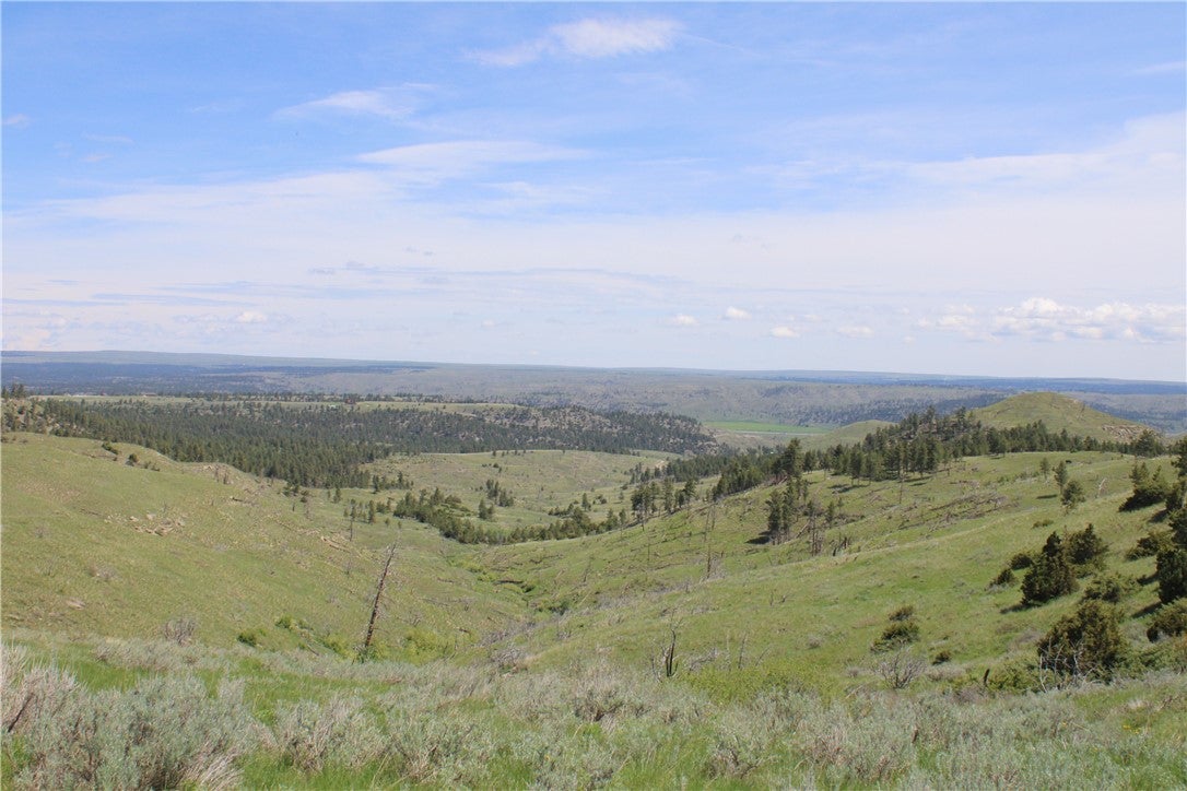Tbd North Harrier Road Reed Point, MT 59069 - Photo 18 of 25 Gallery Image 18
