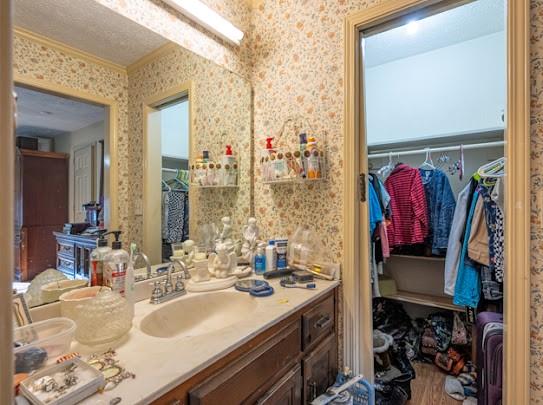 165 Lake Creek Road Cedartown, GA 30125 - Photo 27 of 28 a bathroom with a sink vanity and a mirror