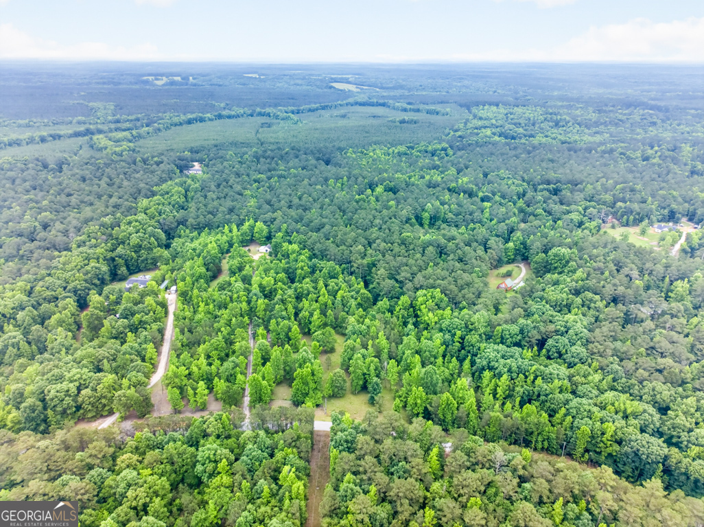 316 Biltmore Road Mansfield, GA 30055 - Photo 53 of 55