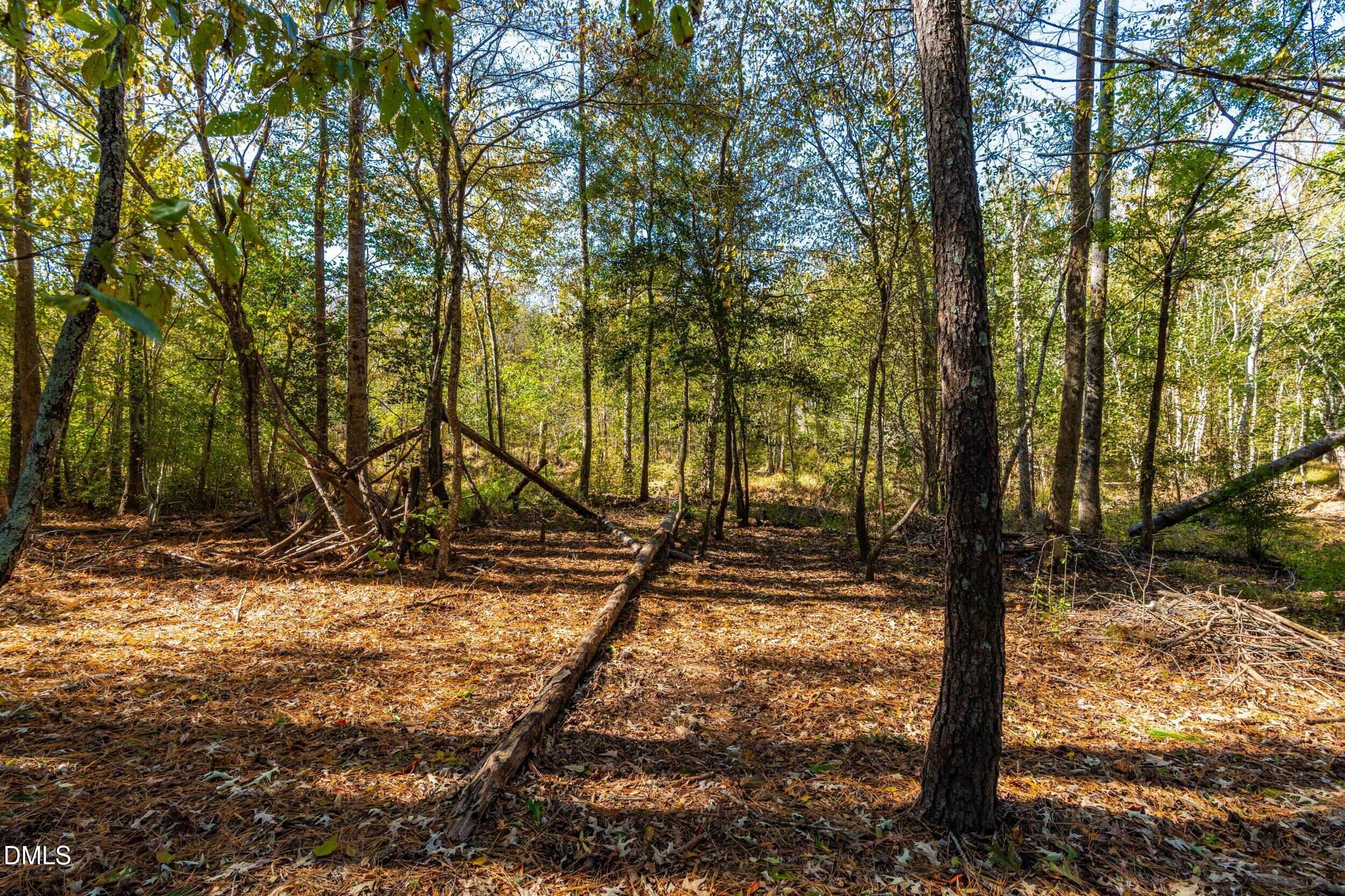 648 Fieldtrial Circle Garner, NC 27529 - Photo 52 of 56 a view of a tree with yard