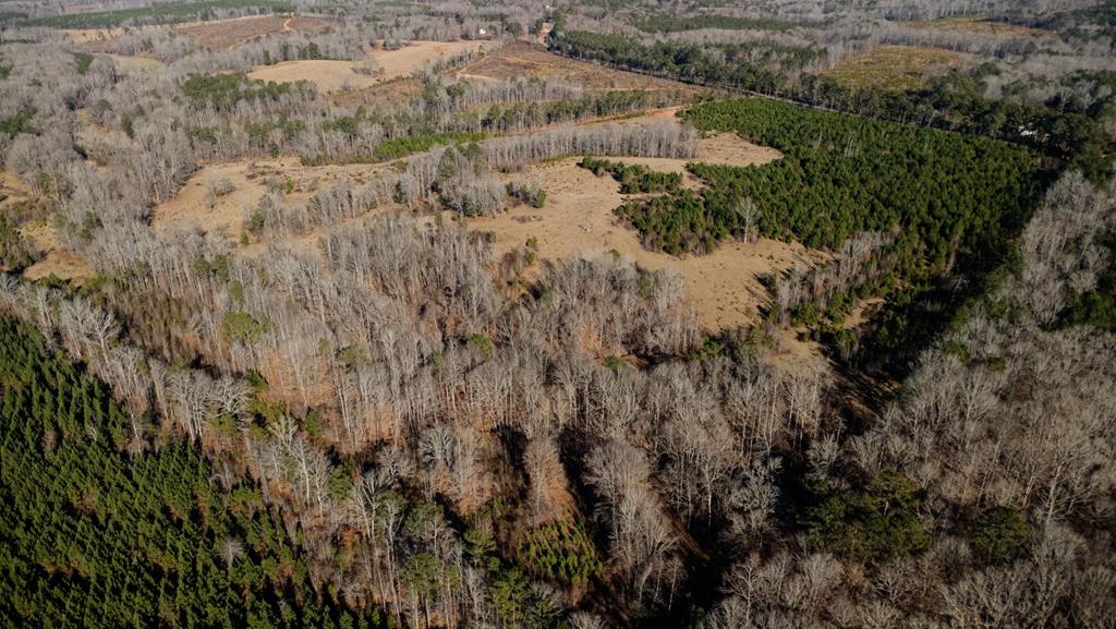 5-0 Chestnut Grove Road Shiloh, GA 31826 - Photo 28 of 32 Gallery Image 28