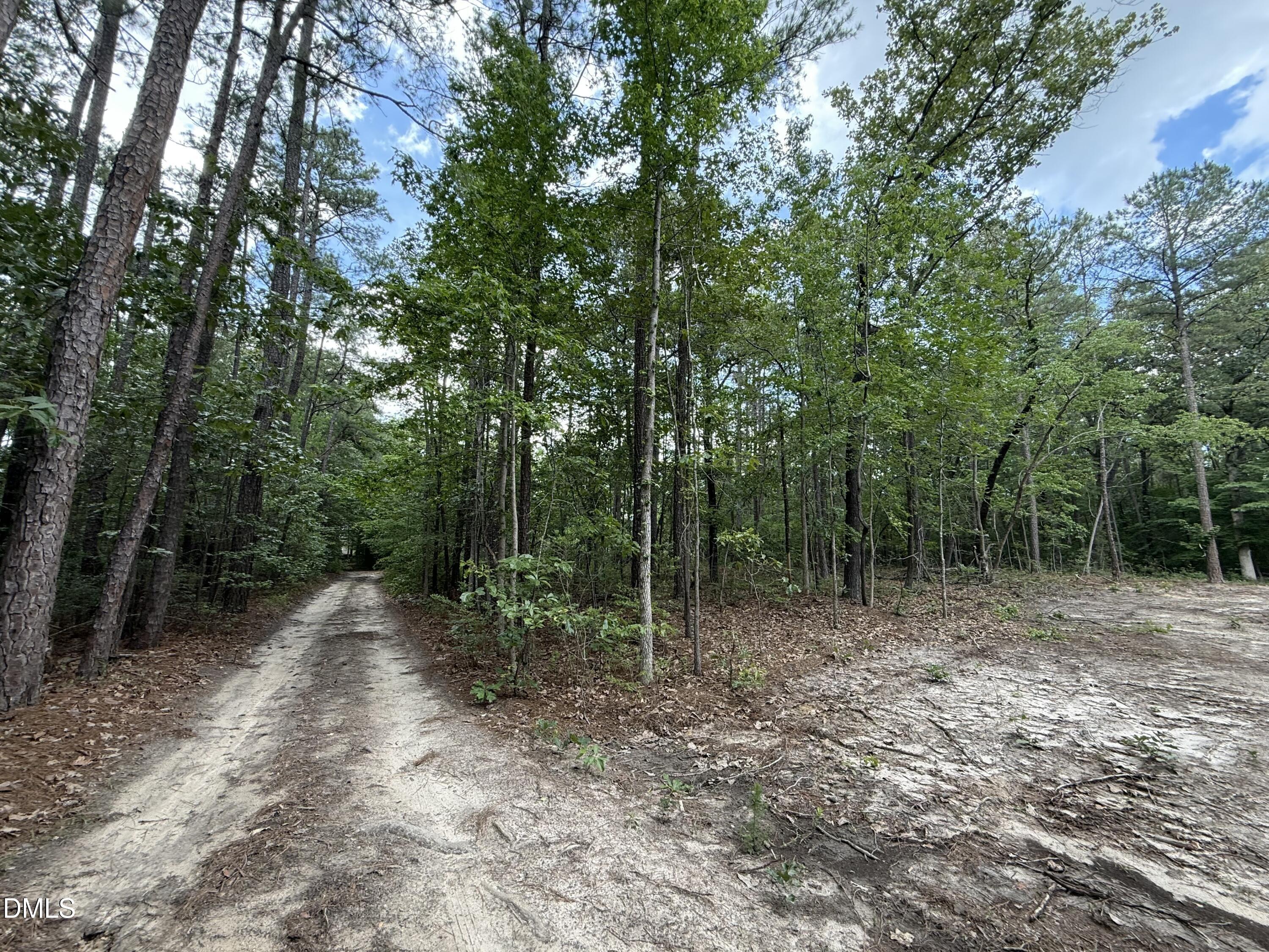 0 Elfman Drive Spring Lake, NC 28390 - Photo 29 of 40 a view of outdoor space and tree
