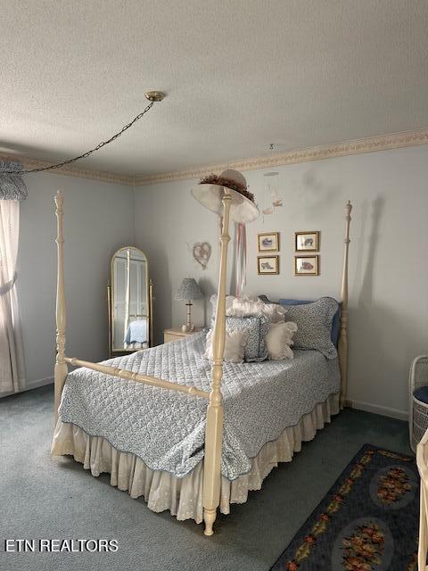 7712 Castlecomb Road Powell, TN 37849 - Photo 12 of 21 IMG_6049