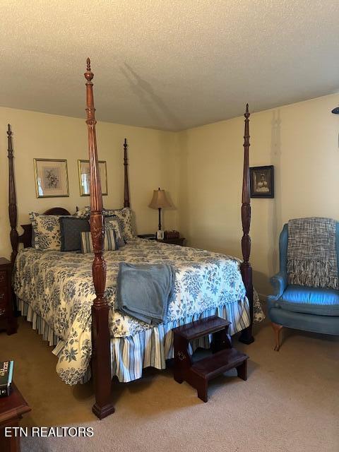 7712 Castlecomb Road Powell, TN 37849 - Photo 12 of 20 IMG_6052