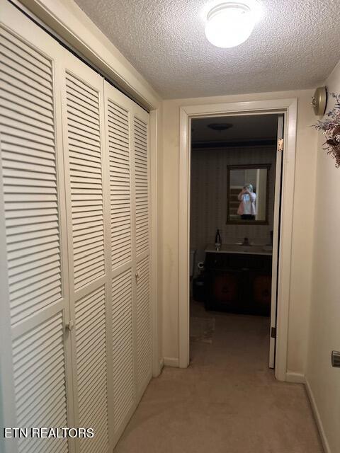 7712 Castlecomb Road Powell, TN 37849 - Photo 18 of 21 IMG_6069
