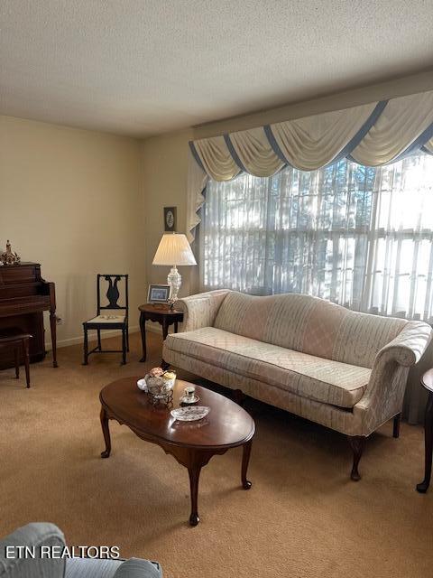 7712 Castlecomb Road Powell, TN 37849 - Photo 7 of 20 IMG_6043