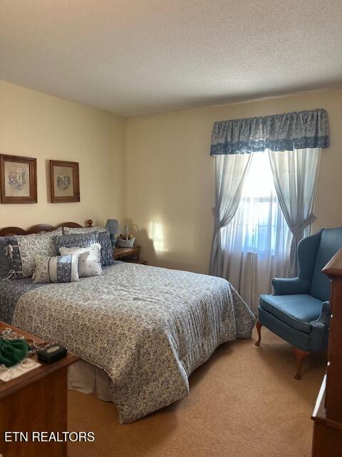 7712 Castlecomb Road Powell, TN 37849 - Photo 10 of 20 IMG_6048