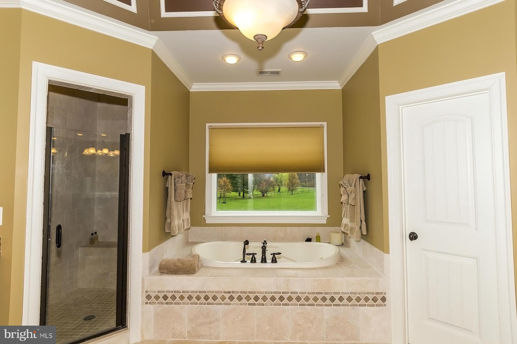 11825 Frederick Road Ellicott City, MD 21042 - Photo 25 of 30 Bath (Master)