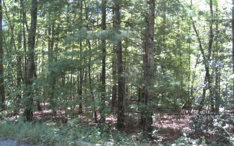 Lot 3 Laurel Circle Blue Ridge, GA 30513 - Photo 1 of 1 Main View