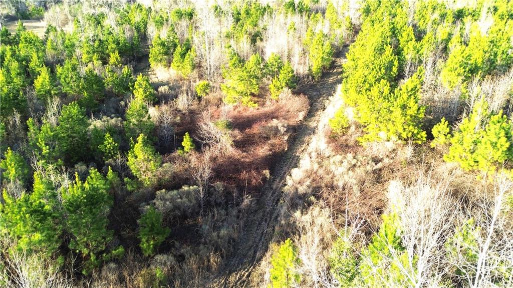 0 Lehmann Road Roxie, MS 39661 - Photo 1 of 23 Gallery Image 1